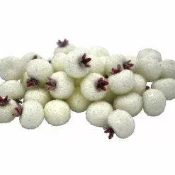 Wholesale 🥰 White Sugared Berries by Ashland® ✔️
