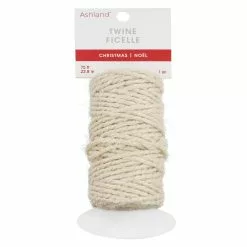 Outlet ๐ 75ft. Metallic Cream Twine by Ashland® ๐คฉ