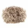 Cheap ❤️ Natural Spanish Moss by Ashland® 👏