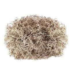 Cheap ❤️ Natural Spanish Moss by Ashland® 👏