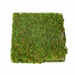 Promo ✨ Green Glitter Moss Mat by Ashland® 🤩 -Ashland Online Store 10703337 2