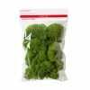 Buy ✔️ Green Reindeer Moss by Ashland® 💯 -Ashland Online Store 10703339 1