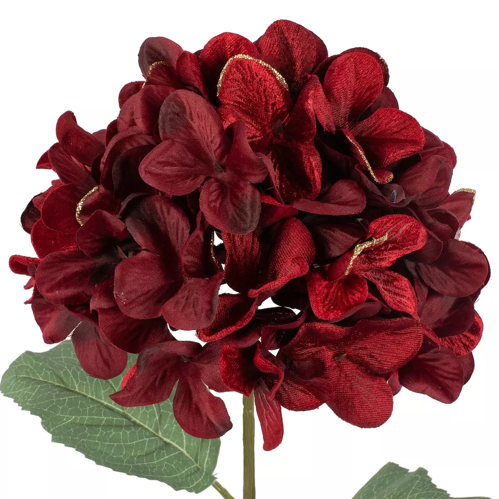 Cheapest โค๏ธ Burgundy Glitter Hydrangea Stem by Ashland® ๐ 4 Cheapest โค๏ธ Burgundy Glitter Hydrangea Stem by Ashland® ๐ - Image 2