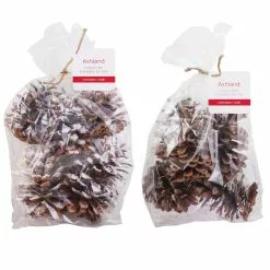 Brand new ⌛ Assorted Pinecone Mix by Ashland® ⌛