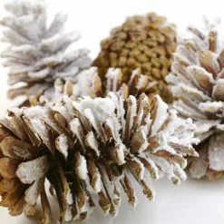 Brand new ⌛ Assorted Pinecone Mix by Ashland® ⌛ -Ashland Online Store 10703682 3