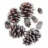 Promo ✔️ Brown & Silver Glitter Pinecones by Ashland® 🎁