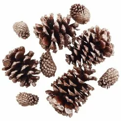 Best Sale 👏 Brown & Gold Glitter Pinecones by Ashland® ✨