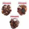 Hot Sale 🤩 Assorted Cinnamon Scented Pinecones by Ashland® 💯 -Ashland Online Store 10703830 1
