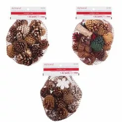 Hot Sale 🤩 Assorted Cinnamon Scented Pinecones by Ashland® 💯