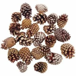 Hot Sale ๐คฉ Assorted Cinnamon Scented Pinecones by Ashland® ๐ฏ 7 Hot Sale ๐คฉ Assorted Cinnamon Scented Pinecones by Ashland® ๐ฏ -Ashland Online Store 10703830 2