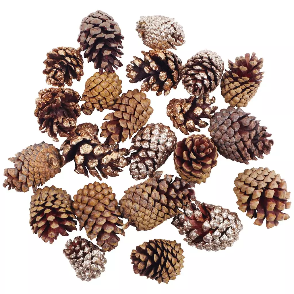 Hot Sale ๐คฉ Assorted Cinnamon Scented Pinecones by Ashland® ๐ฏ 5 Hot Sale ๐คฉ Assorted Cinnamon Scented Pinecones by Ashland® ๐ฏ - Image 3