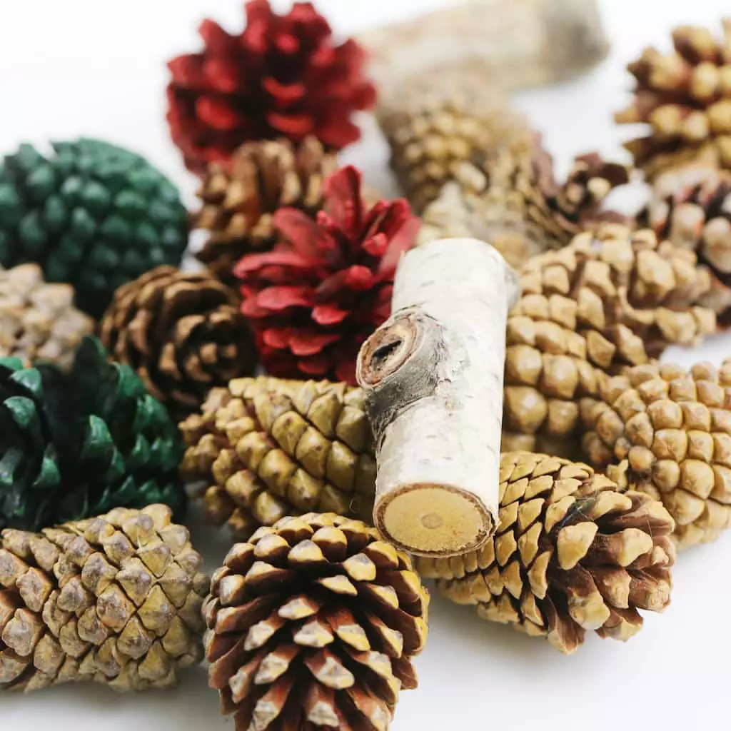 Hot Sale ๐คฉ Assorted Cinnamon Scented Pinecones by Ashland® ๐ฏ 4 Hot Sale ๐คฉ Assorted Cinnamon Scented Pinecones by Ashland® ๐ฏ - Image 2