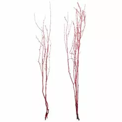 Best Sale 💯 Assorted Red Birch Branch by Ashland® ⭐