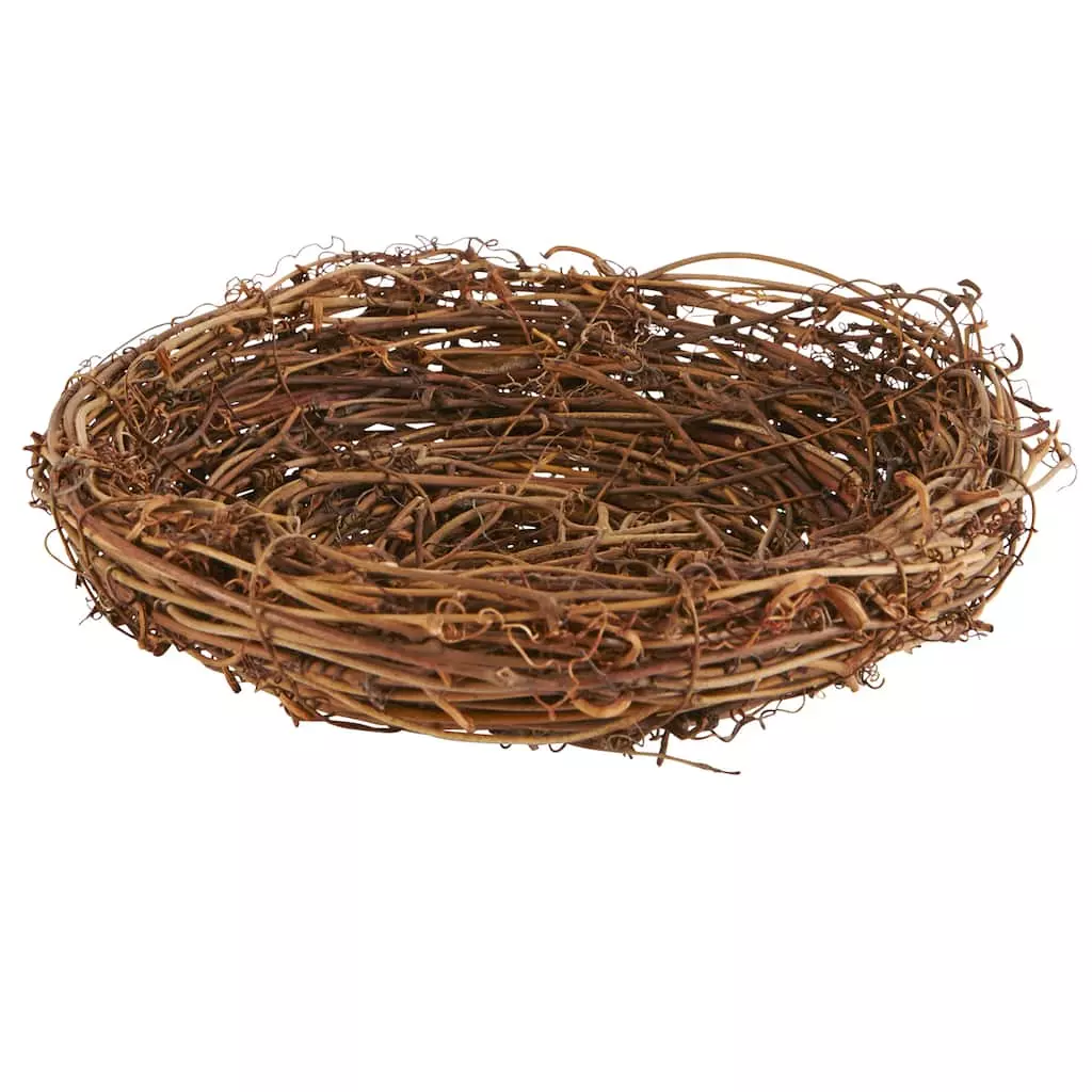 Top 10 โ 8" Bird Nest by Ashland® ๐ 3 Top 10 โ 8" Bird Nest by Ashland® ๐