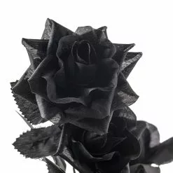 New 🔥 12 Pack: Black Diamond Rose Spray by Ashland® 🔥 -Ashland Online Store MP012412 20