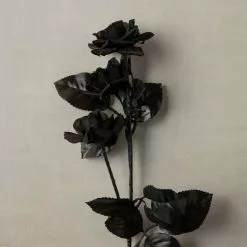 New 🔥 12 Pack: Black Diamond Rose Spray by Ashland® 🔥 -Ashland Online Store MP012412 25