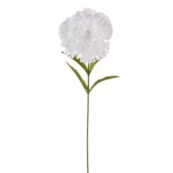 Best deal 🤩 24 Pack: White Carnation Spray by Ashland® 👍