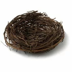 Discount ❤️ 24 Pack: 4" Round Nest by Ashland® 🎁 -Ashland Online Store MP029916 21