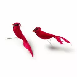 New ⭐ 24 Packs: 2 ct. (48 total) Cardinal Birds by Ashland® ⭐ -Ashland Online Store MP029954 21