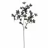 Cheap โค๏ธ 12 Pack: Charcoal Gray Azalea Spray by Ashland® ๐ 2 Cheap โค๏ธ 12 Pack: Charcoal Gray Azalea Spray by Ashland® ๐ -Ashland Online Store MP035291 1