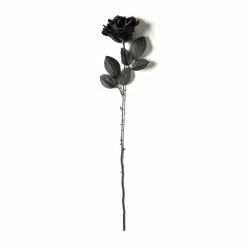 Flash Sale ❤️ 12 Pack: Black Open Rose Stem by Ashland™ ⌛ -Ashland Online Store MP035292 21