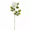 Brand new ⌛ 24 Pack: White Holland Rose Stem by Ashland® 🧨 -Ashland Online Store MP056110 1