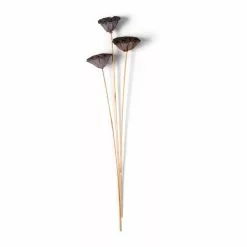 Deals ✨ 12 Pack: Natural Lotus Pods Stem by Ashland® ⌛ -Ashland Online Store MP065712 21