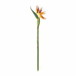 Coupon 🛒 12 Pack: Yellow Bird of Paradise Stem by Ashland® 😍 -Ashland Online Store MP066898 21
