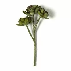 Budget ๐ฏ 12 Pack: Assorted Succulent Pick by Ashland® ๐ 8 Budget ๐ฏ 12 Pack: Assorted Succulent Pick by Ashland® ๐ -Ashland Online Store MP128870 21