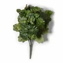 Flash Sale ✔️ 10 Pack: Coral Bell Bush by Ashland® 🔥 -Ashland Online Store MP129104 21