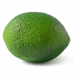 Coupon 👏 8 Packs: 10 ct. (80 total) Green Limes by Ashland® ⌛ -Ashland Online Store MP131589 21