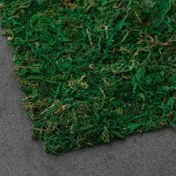 Brand new 🎉 12 Pack: Moss Table Runner by Ashland® ⭐ -Ashland Online Store MP135021 21