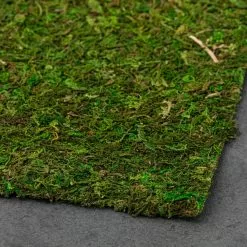 Wholesale ✔️ 12 Pack: Moss Mat by Ashland® ⌛ -Ashland Online Store MP135027 21