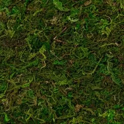 Wholesale ✔️ 12 Pack: Moss Mat by Ashland® ⌛ -Ashland Online Store MP135027 22