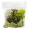 Flash Sale โจ 6 Pack: Moss Variety Pack by Ashland® โค๏ธ 2 Flash Sale โจ 6 Pack: Moss Variety Pack by Ashland® โค๏ธ -Ashland Online Store MP135036 1