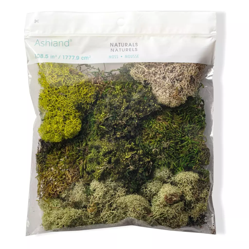 Flash Sale ✨ 6 Pack: Moss Variety Pack by Ashland® ❤️ 6 Flash Sale ✨ 6 Pack: Moss Variety Pack by Ashland® ❤️ - Image 4
