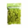 Flash Sale ๐ 12 Pack: Reindeer Moss by Ashland® โจ 1 Flash Sale ๐ 12 Pack: Reindeer Moss by Ashland® โจ -Ashland Online Store MP135038 1