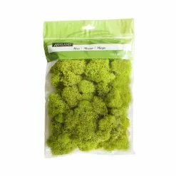 Flash Sale 🎁 12 Pack: Reindeer Moss by Ashland® ✨
