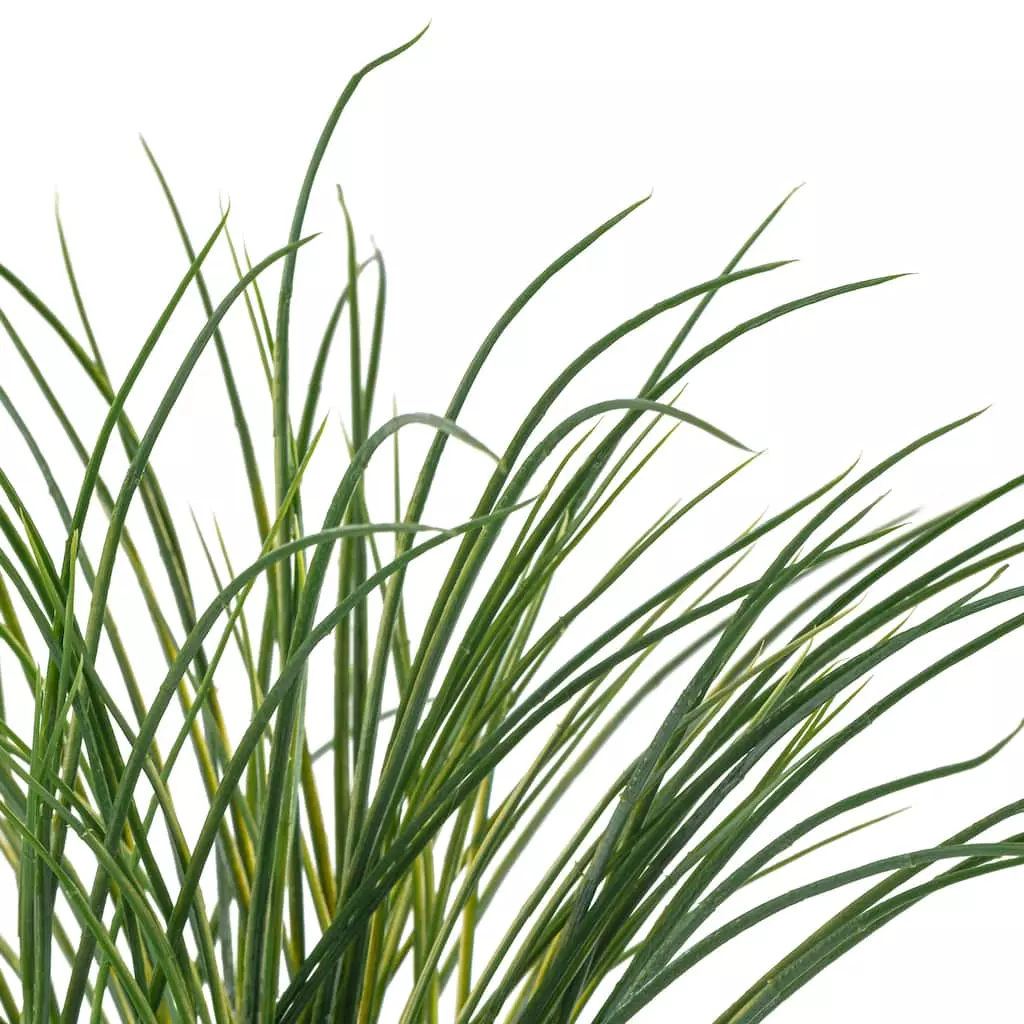 Buy ❤️ 8 Pack: Assorted Grass Bush by Ashland® ⭐ 5 Buy ❤️ 8 Pack: Assorted Grass Bush by Ashland® ⭐ - Image 3