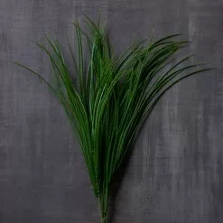 Buy ❤️ 8 Pack: Assorted Grass Bush by Ashland® ⭐ 11 Buy ❤️ 8 Pack: Assorted Grass Bush by Ashland® ⭐ -Ashland Online Store MP189538 25