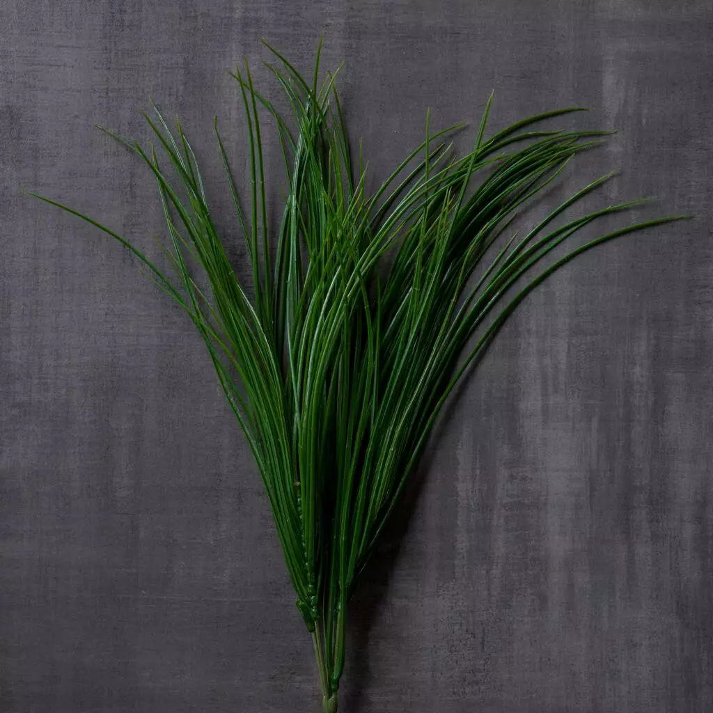 Buy ❤️ 8 Pack: Assorted Grass Bush by Ashland® ⭐ 7 Buy ❤️ 8 Pack: Assorted Grass Bush by Ashland® ⭐ - Image 5