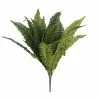 Buy 🎁 12 Pack: Boston Fern Bush by Ashland® 😀 -Ashland Online Store MP194922