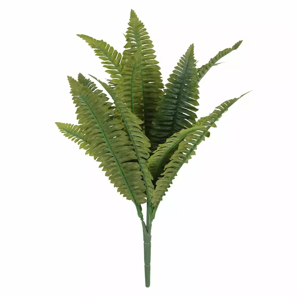 Best Sale ๐ 12 Pack: Green Boston Fern Bush by Ashland® โ๏ธ 3 Best Sale ๐ 12 Pack: Green Boston Fern Bush by Ashland® โ๏ธ