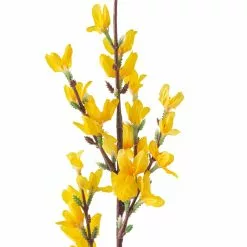 Top 10 ✔️ 12 Pack: Yellow Forsythia Branch Spray by Ashland® 🎉 -Ashland Online Store MP205308 20