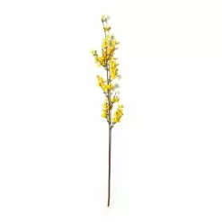 Top 10 ✔️ 12 Pack: Yellow Forsythia Branch Spray by Ashland® 🎉 -Ashland Online Store MP205308 21