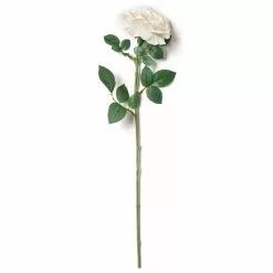 Top 10 😀 12 Pack: White Sophia Rose Stem by Ashland® 👍 -Ashland Online Store MP213470 21