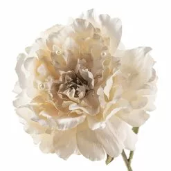 Cheap ⭐ 12 Pack: Cream Pearled Peony Stem by Ashland® ✔️ 12 Cheap ⭐ 12 Pack: Cream Pearled Peony Stem by Ashland® ✔️ -Ashland Online Store MP213485 20