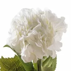 Outlet ๐ฏ 12 Pack: Classic Traditions™ White Hydrangea Stem by Ashland® โจ 8 Outlet ๐ฏ 12 Pack: Classic Traditions™ White Hydrangea Stem by Ashland® โจ -Ashland Online Store MP213498 20