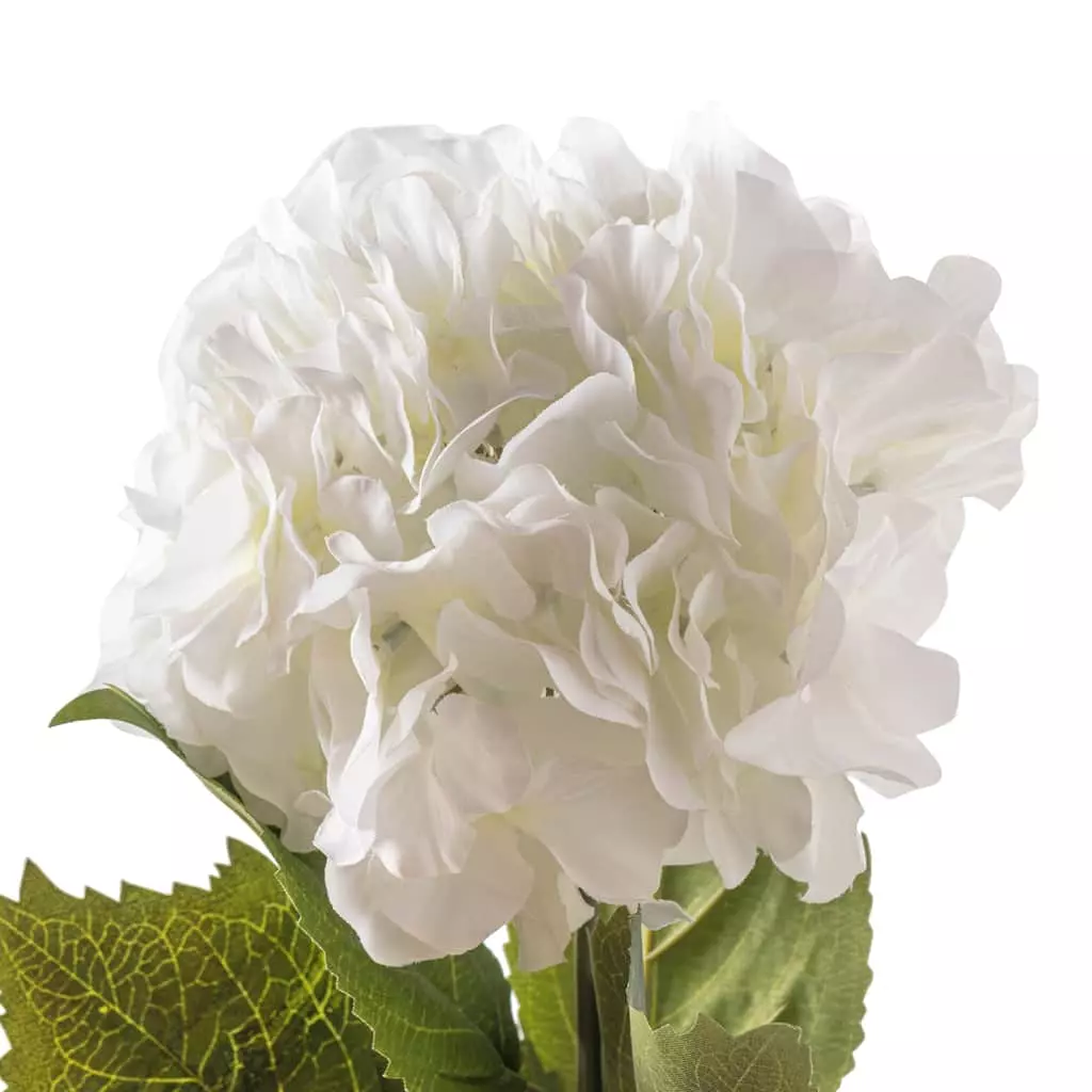 Outlet ๐ฏ 12 Pack: Classic Traditions™ White Hydrangea Stem by Ashland® โจ 5 Outlet ๐ฏ 12 Pack: Classic Traditions™ White Hydrangea Stem by Ashland® โจ - Image 3