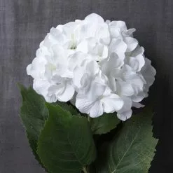 Outlet ๐ฏ 12 Pack: Classic Traditions™ White Hydrangea Stem by Ashland® โจ 9 Outlet ๐ฏ 12 Pack: Classic Traditions™ White Hydrangea Stem by Ashland® โจ -Ashland Online Store MP213498 22